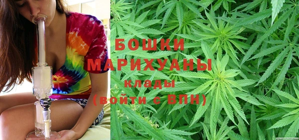 амф Надым