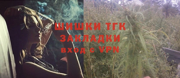 амф Гусев
