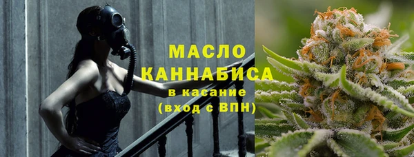 амф Гусев