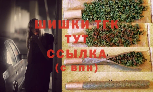амф Гусев