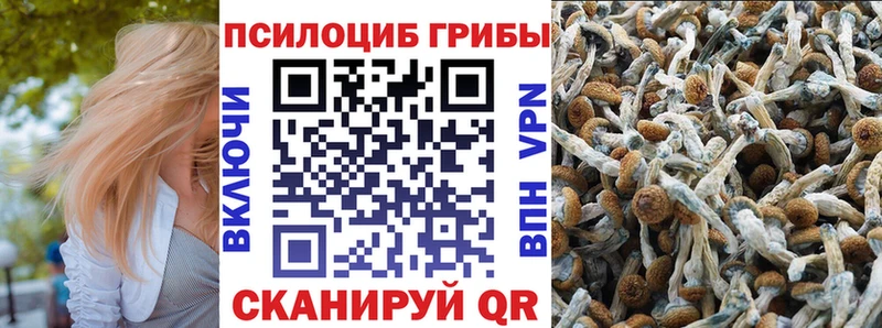 Галлюциногенные грибы прущие грибы  где можно купить   blacksprut рабочий сайт  Инта 
